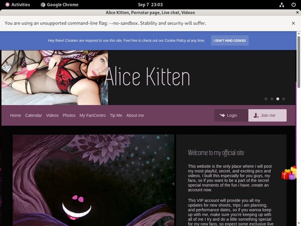 AliceKitten Passwords