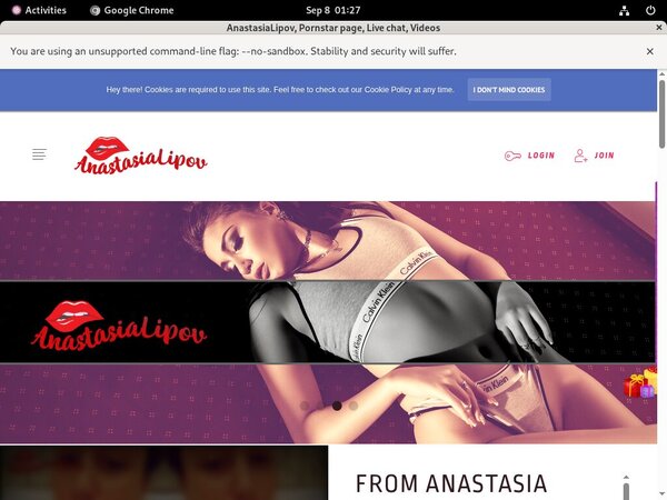 Anastasialipov.modelcentro.com Promo Tour