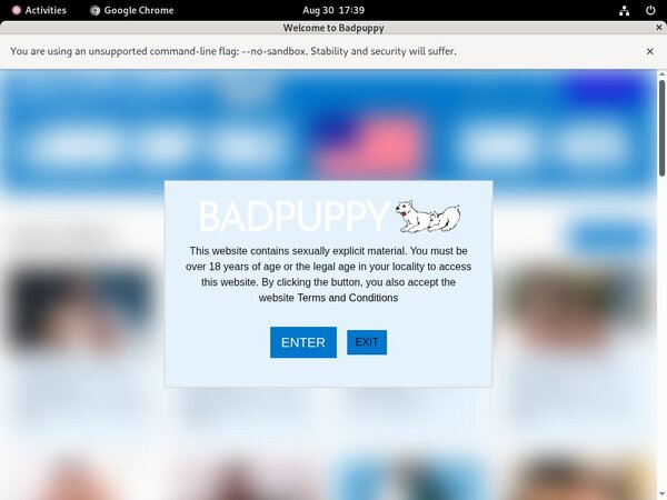 Badpuppy Direct Pay