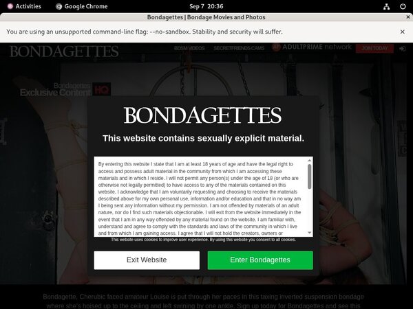 Bondagettes.com Password Details