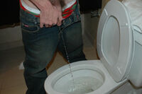 Boys Pissing Get Password s5