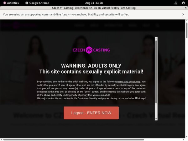 Czech VR Casting Order