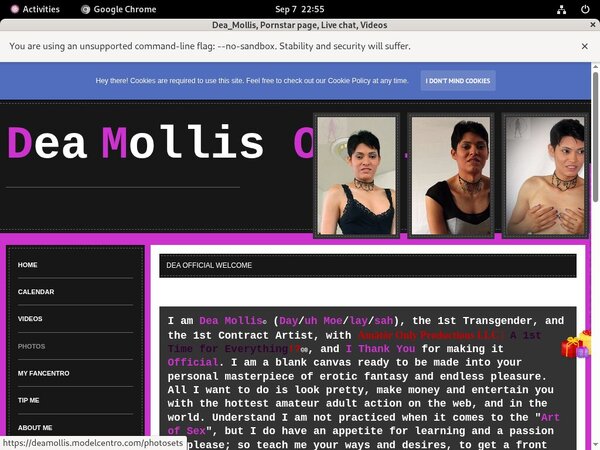 Deamollis.modelcentro.com Sign Up Again