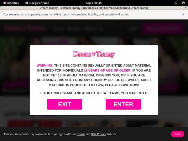 Dream Tranny Network Password
