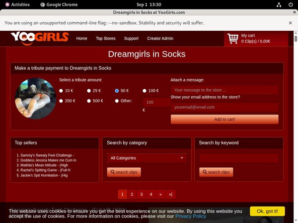 DreamgirlsInSocks Model List