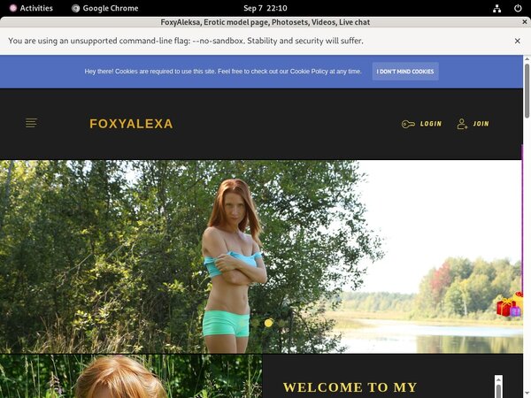 FoxyAleksa Password Info