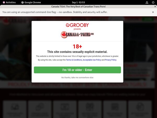 Free Account Of Canada TGirl