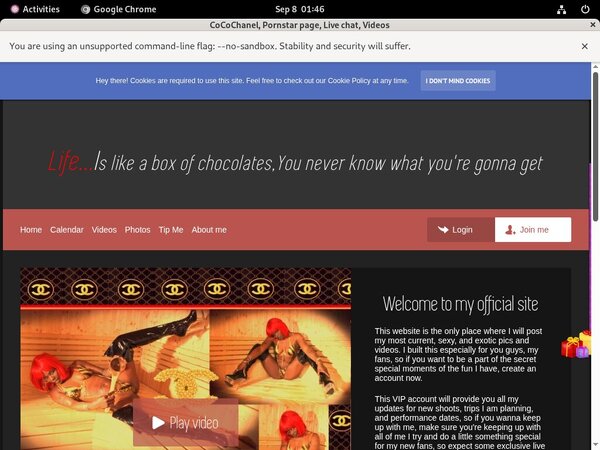 Free Accounts For Cocochanel.modelcentro.com