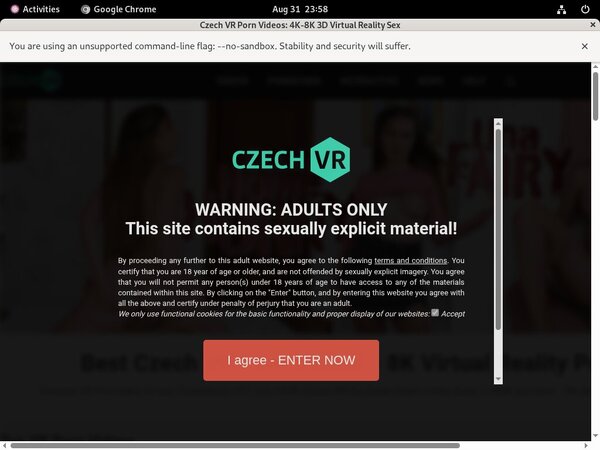 Free Czechvr Passes