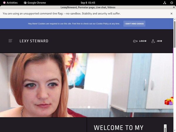 Free LexxySteward Account And Password