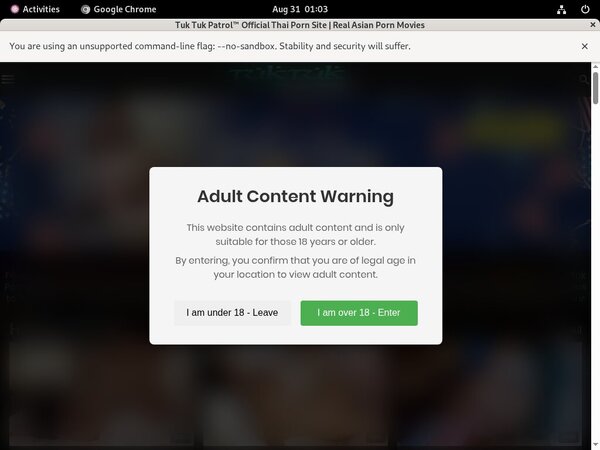 Free Passwords For Tuktukpatrol