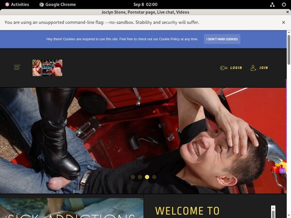 Free Premium Joclynsgarage.com