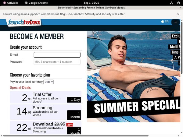 French Twinks Webcams