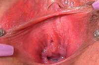 Gape My Pussy Porn Movies s1