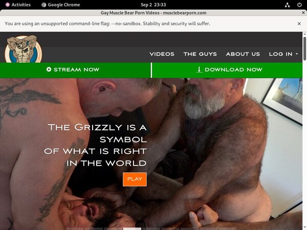 Get Into Muscle Bear Porn
