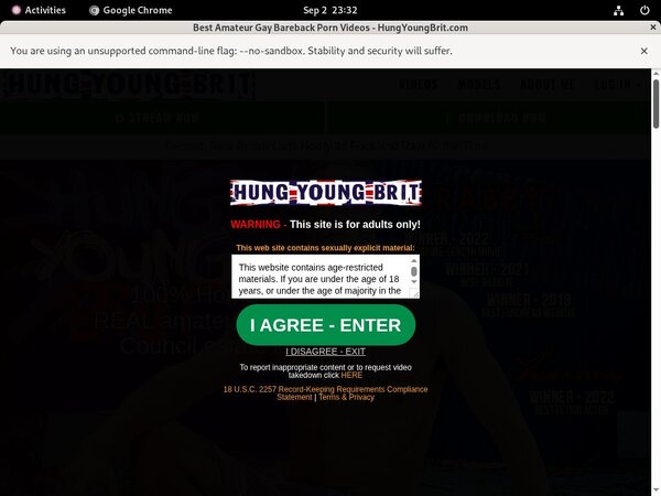 Hung Young Brit Segpay Discount