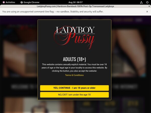 Ladyboypussy Free Clips