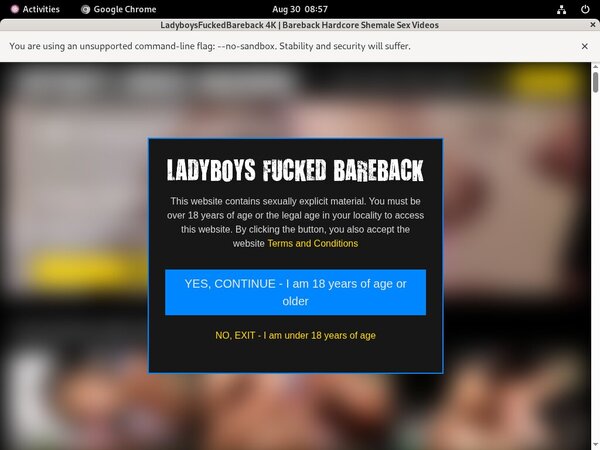 Ladyboysfuckedbareback Org