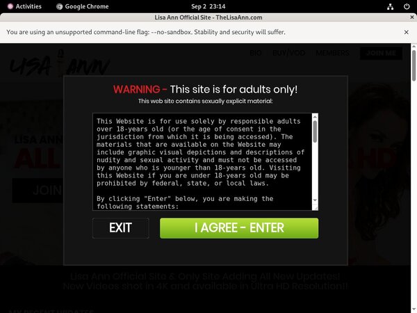 Lisa Ann Network Login