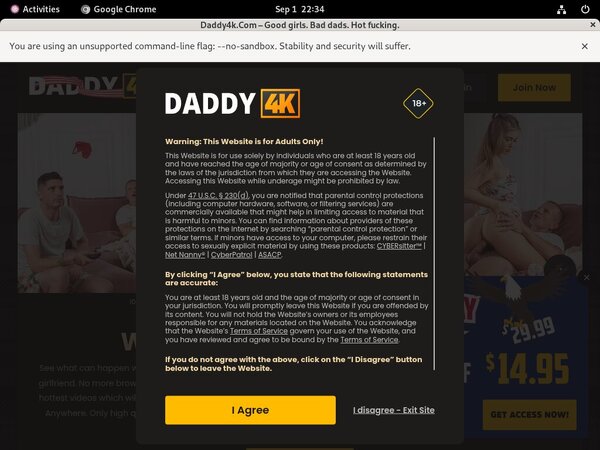 Log In Daddy 4k