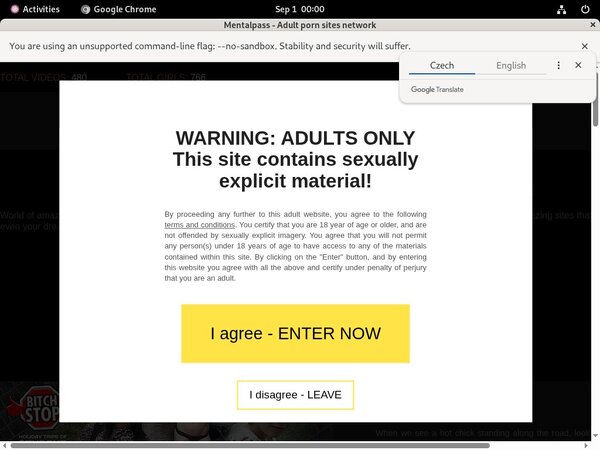 Mentalpass Daily Accounts