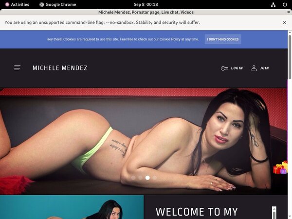 Michelemendez.modelcentro.com Porn Reviews