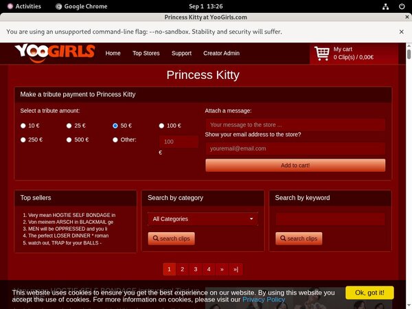 Princess Kitty Password Info