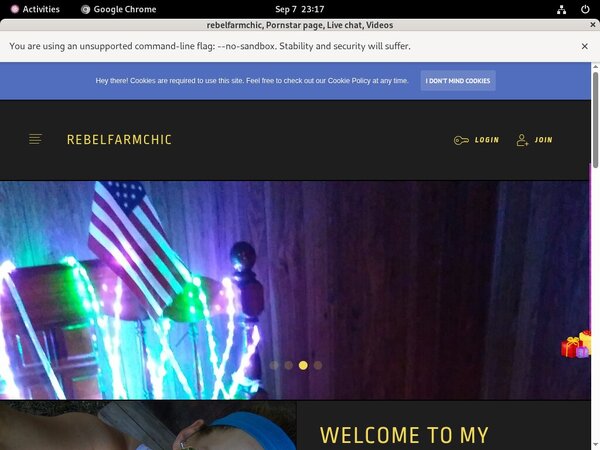 Rebelfarmchic.modelcentro.com Sites