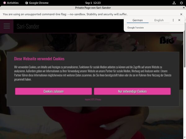 Sari-sander.com Pago