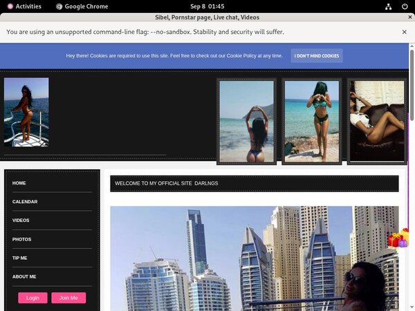 Sibel.modelcentro.com Username