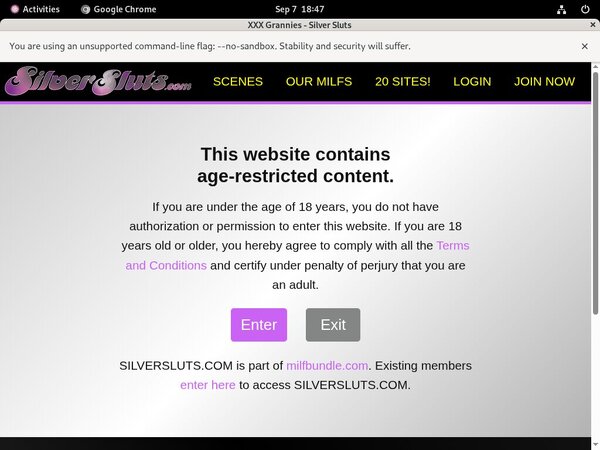 Silversluts Paypal Order