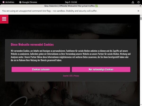 Sina-valentini.de User And Pass