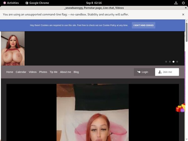 Snowbunnyy Site-rip