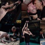 Subspace Land Member Sign Up Subspace Land Member Sign Up