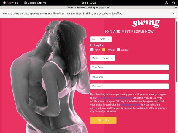 Swing.netaccountsfree