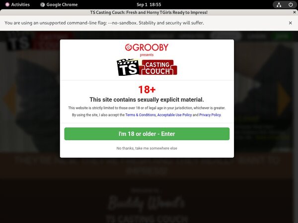 Ts-castingcouch.com Active Password