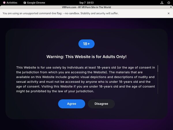 VR Porn Log In