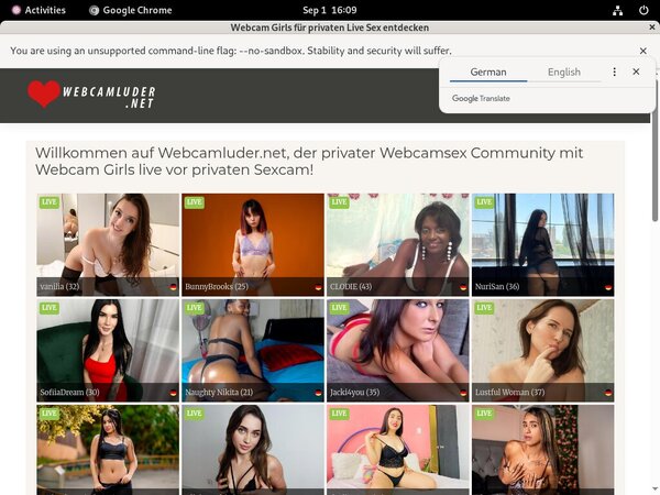 WebCam Luder Passworter