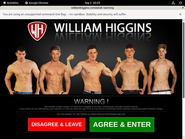 William Higgins Net